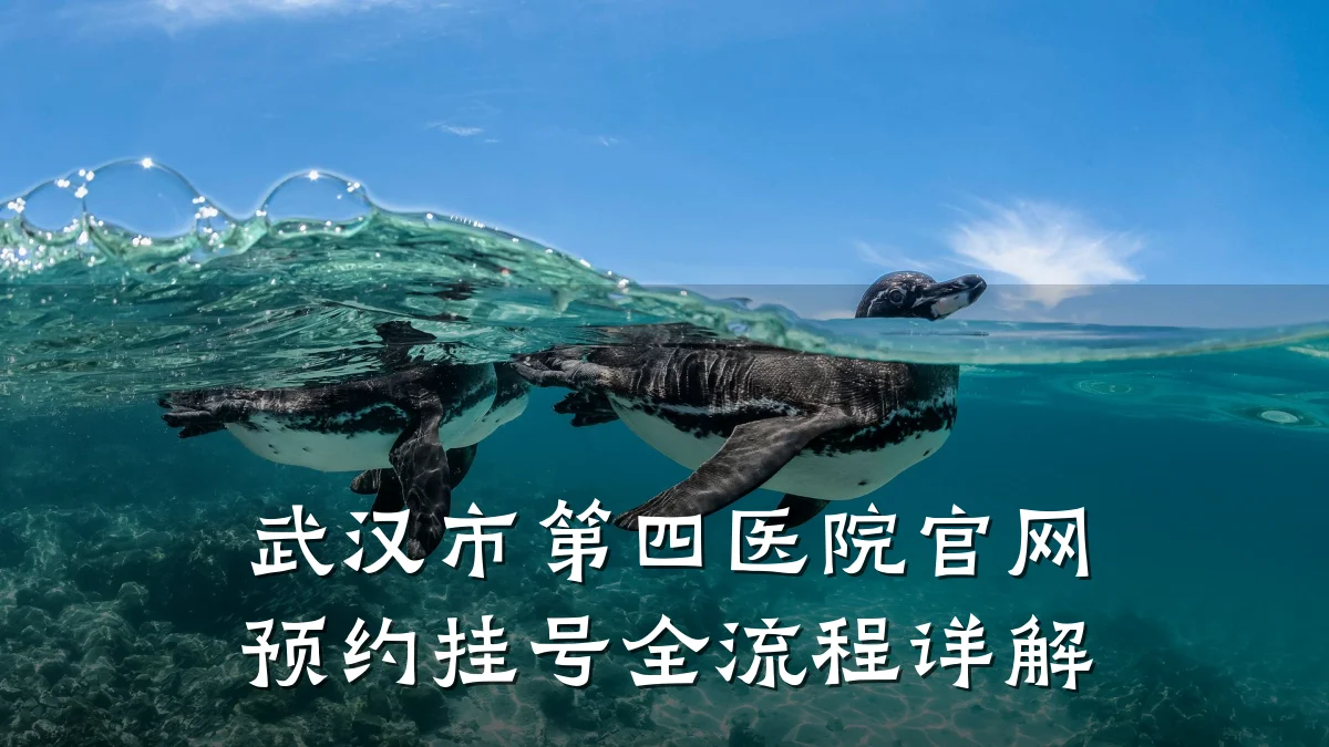 武汉市第四医院官网预约挂号全流程详解