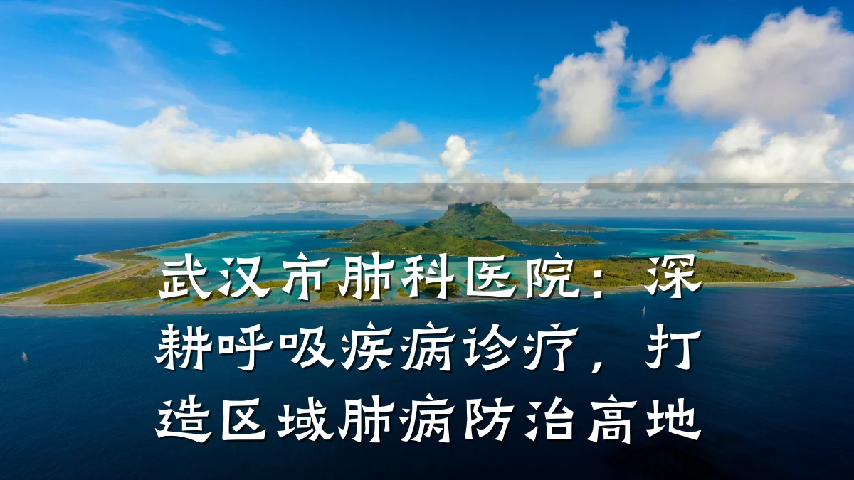武汉市肺科医院：深耕呼吸疾病诊疗，打造区域肺病防治高地