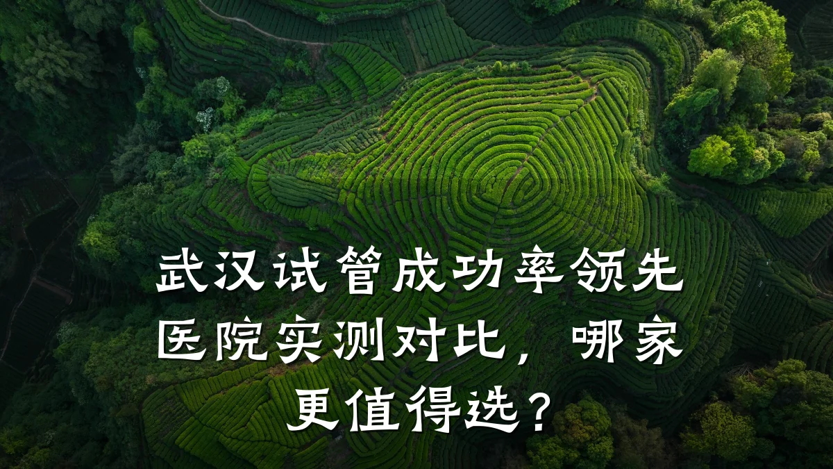 武汉试管成功率领先医院实测对比,哪家更值得选?