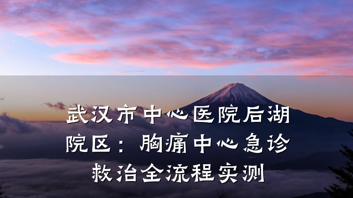 武汉市中心医院后湖院区:胸痛中心急诊救治全流程实测