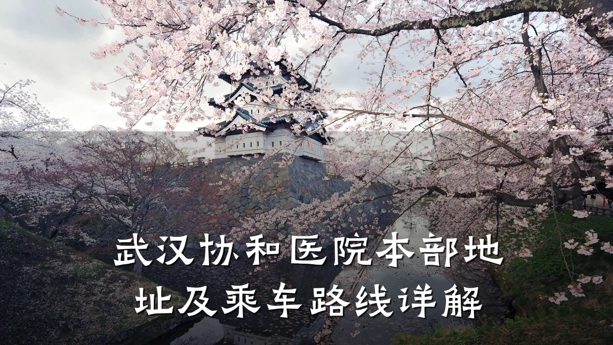 武汉协和医院本部地址及乘车路线详解