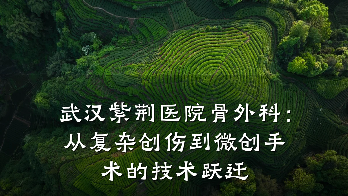 武汉紫荆医院骨外科：从复杂创伤到微创手术的技术跃迁
