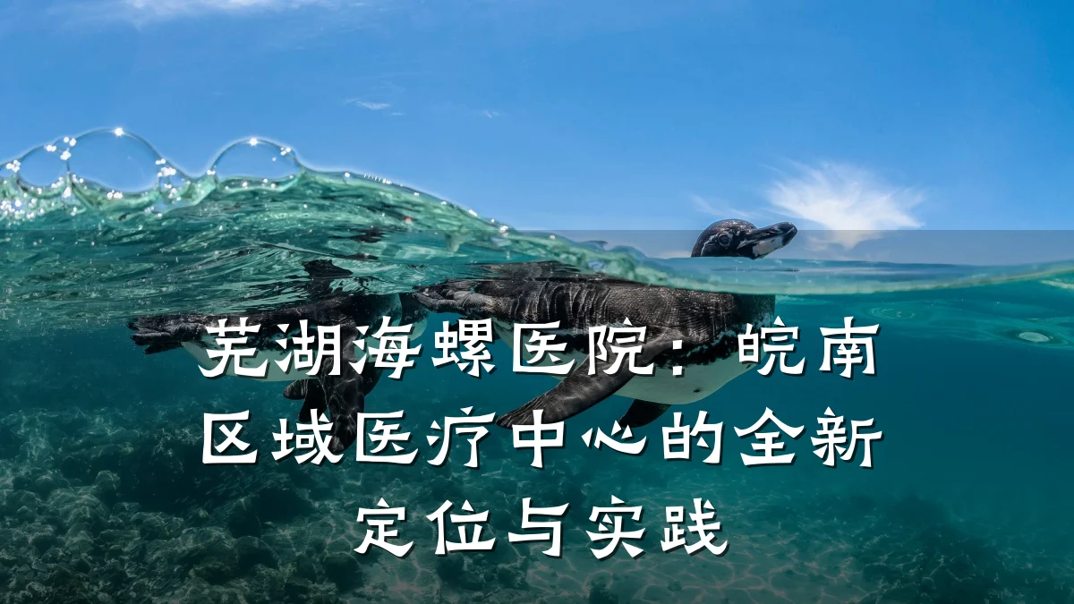 芜湖海螺医院:皖南区域医疗中心的全新定位与实践