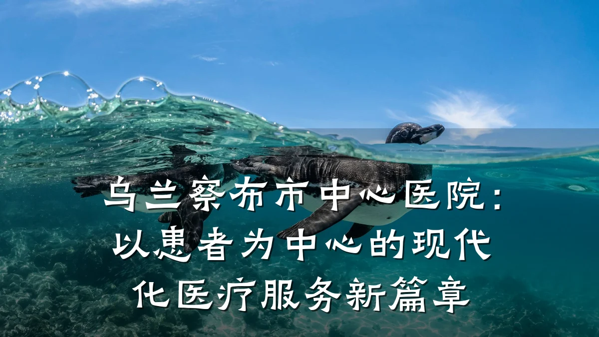 乌兰察布市中心医院:以患者为中心的现代化医疗服务新篇章
