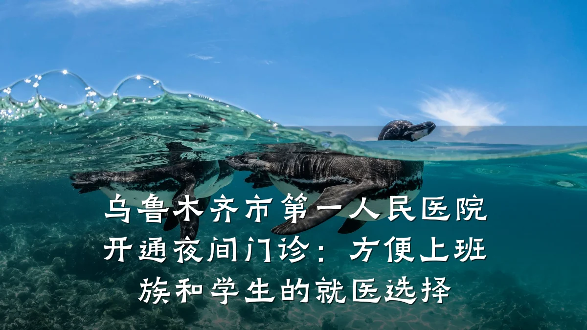 乌鲁木齐市第一人民医院开通夜间门诊：方便上班族和学生的就医选择