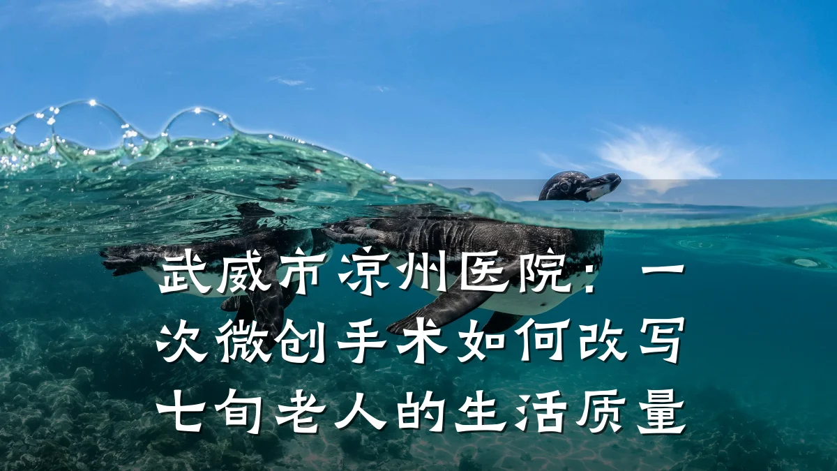武威市凉州医院:一次微创手术如何改写七旬老人的生活质量