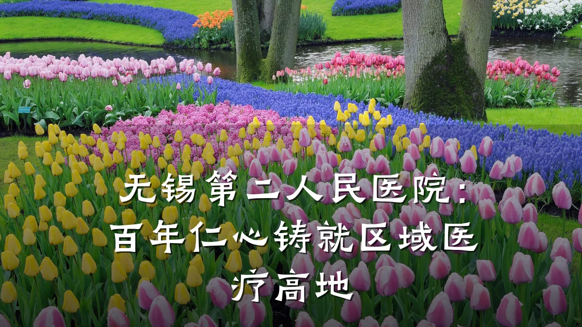 无锡第二人民医院:百年仁心铸就区域医疗高地