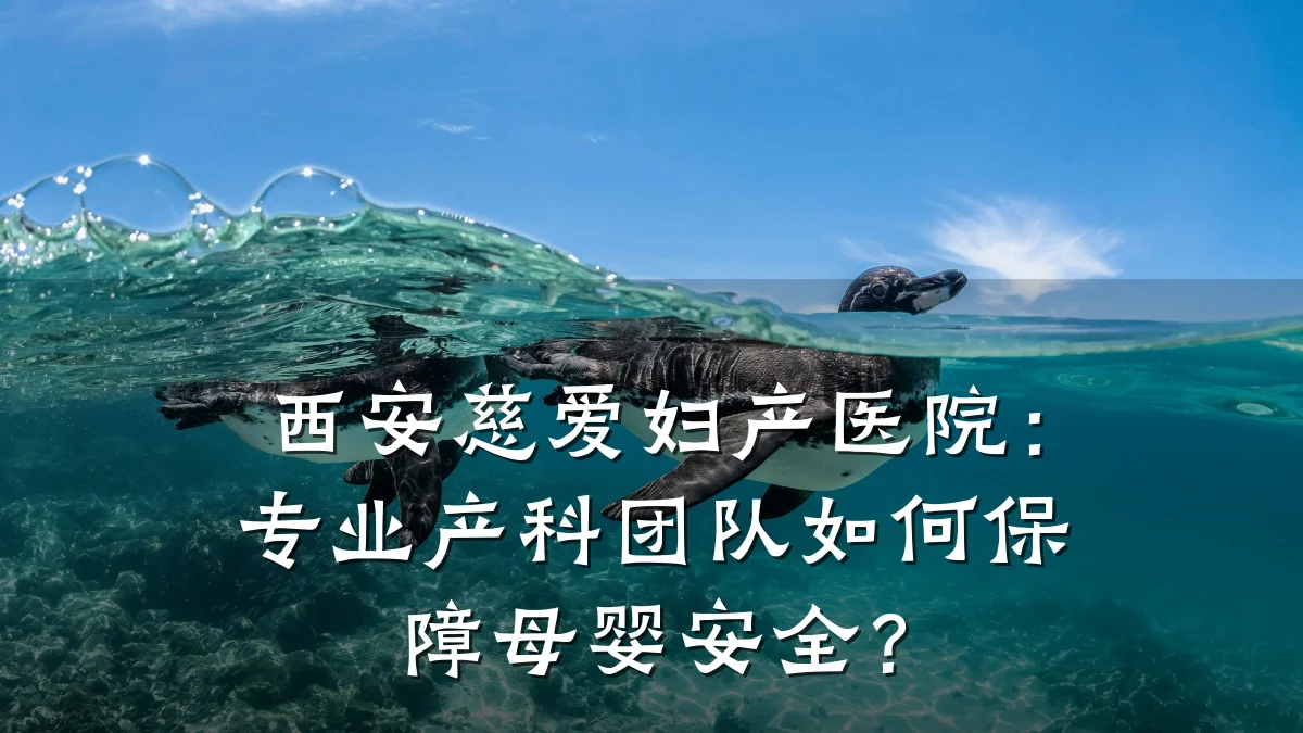 西安慈爱妇产医院:专业产科团队如何保障母婴安全?