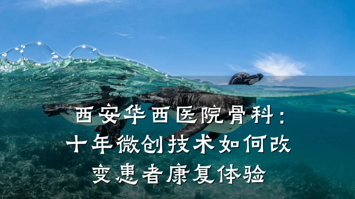 西安华西医院骨科:十年微创技术如何改变患者康复体验
