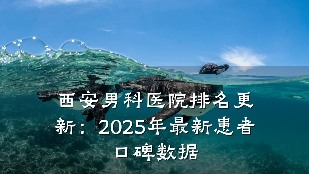 西安男科医院排名更新:2025年最新患者口碑数据