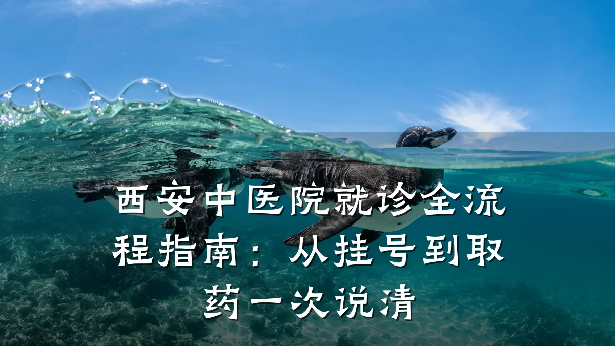 西安中医院就诊全流程指南:从挂号到取药一次说清