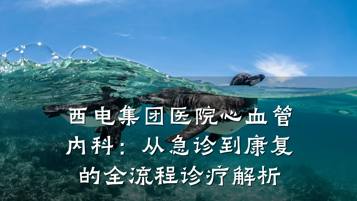 西电集团医院心血管内科:从急诊到康复的全流程诊疗解析