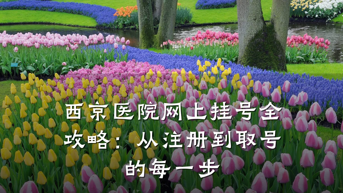西京医院网上挂号全攻略:从注册到取号的每一步