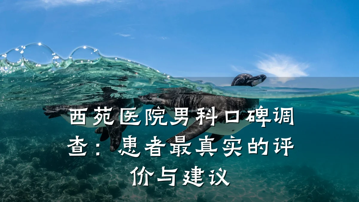 西苑医院男科口碑调查:患者最真实的评价与建议