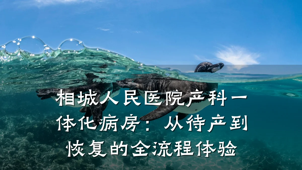 相城人民医院产科一体化病房:从待产到恢复的全流程体验