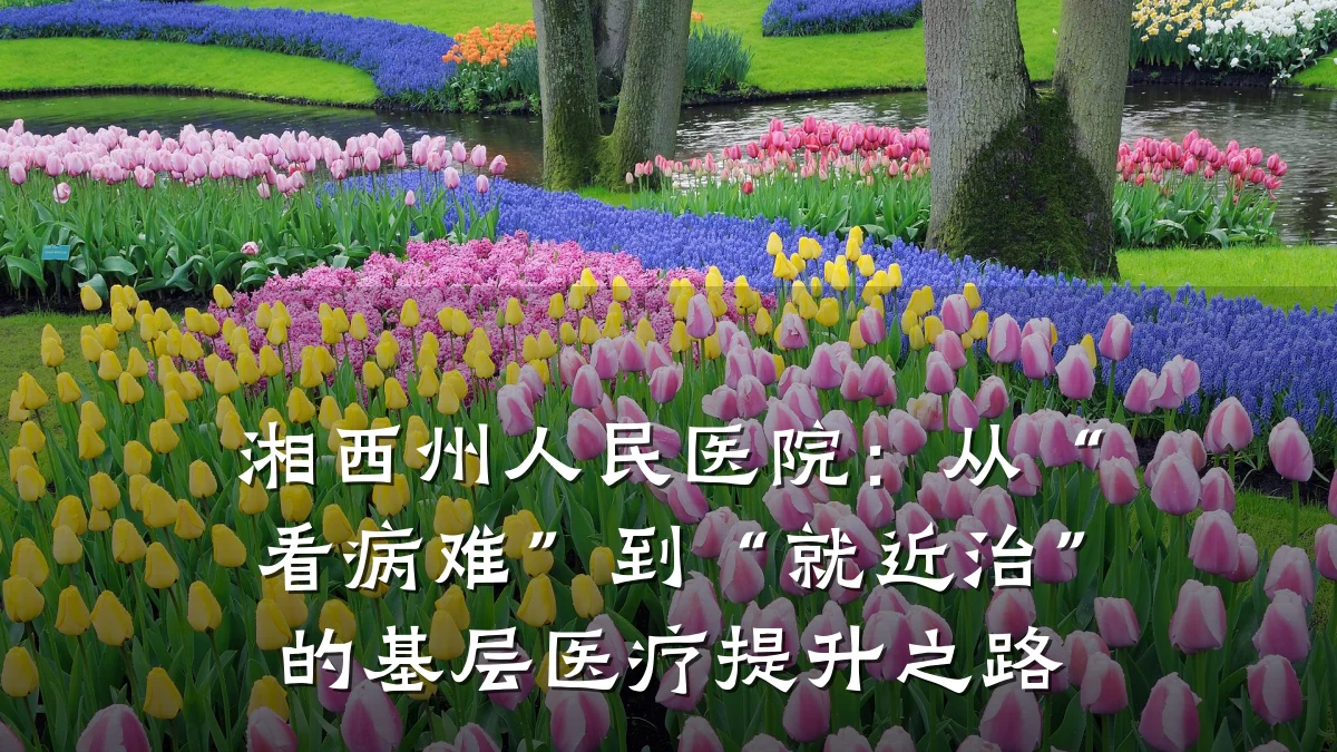 湘西州人民医院:从“看病难”到“就近治”的基层医疗提升之路