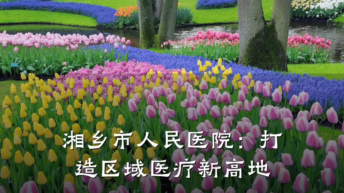 湘乡市人民医院：打造区域医疗新高地