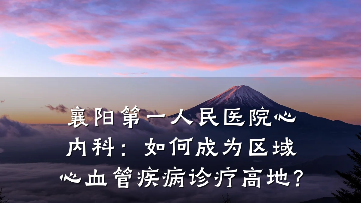 襄阳第一人民医院心内科:如何成为区域心血管疾病诊疗高地?