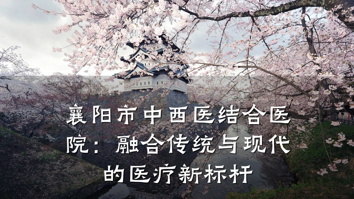 襄阳市中西医结合医院:融合传统与现代的医疗新标杆
