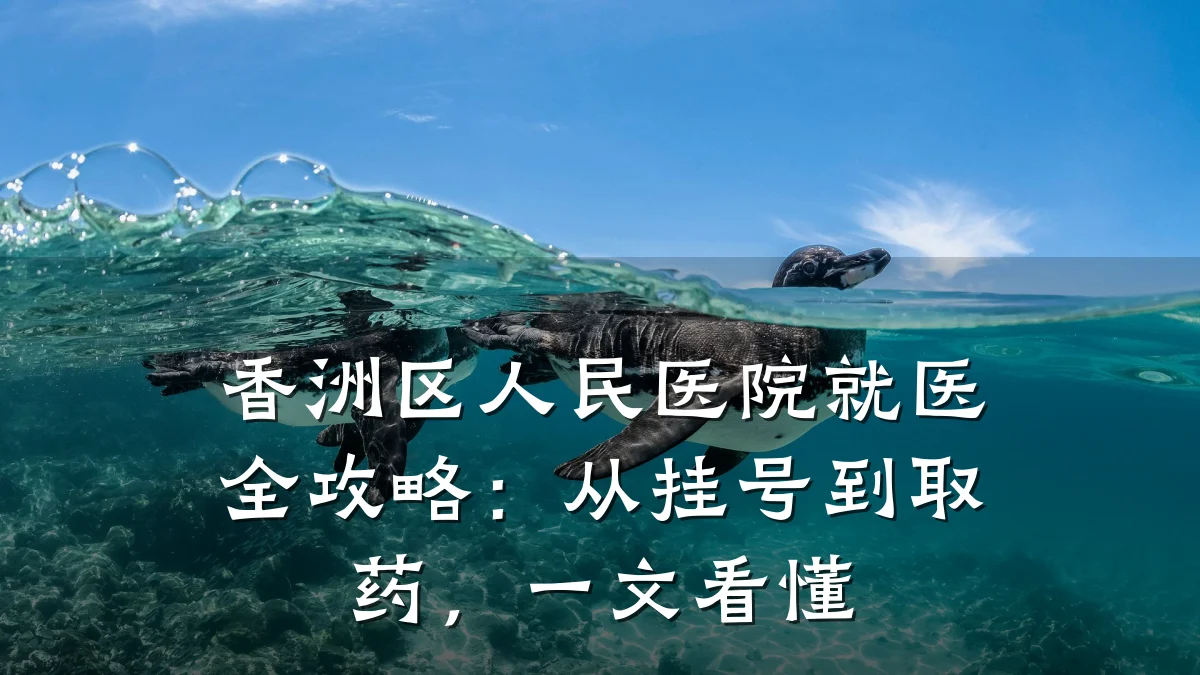 香洲区人民医院就医全攻略:从挂号到取药,一文看懂
