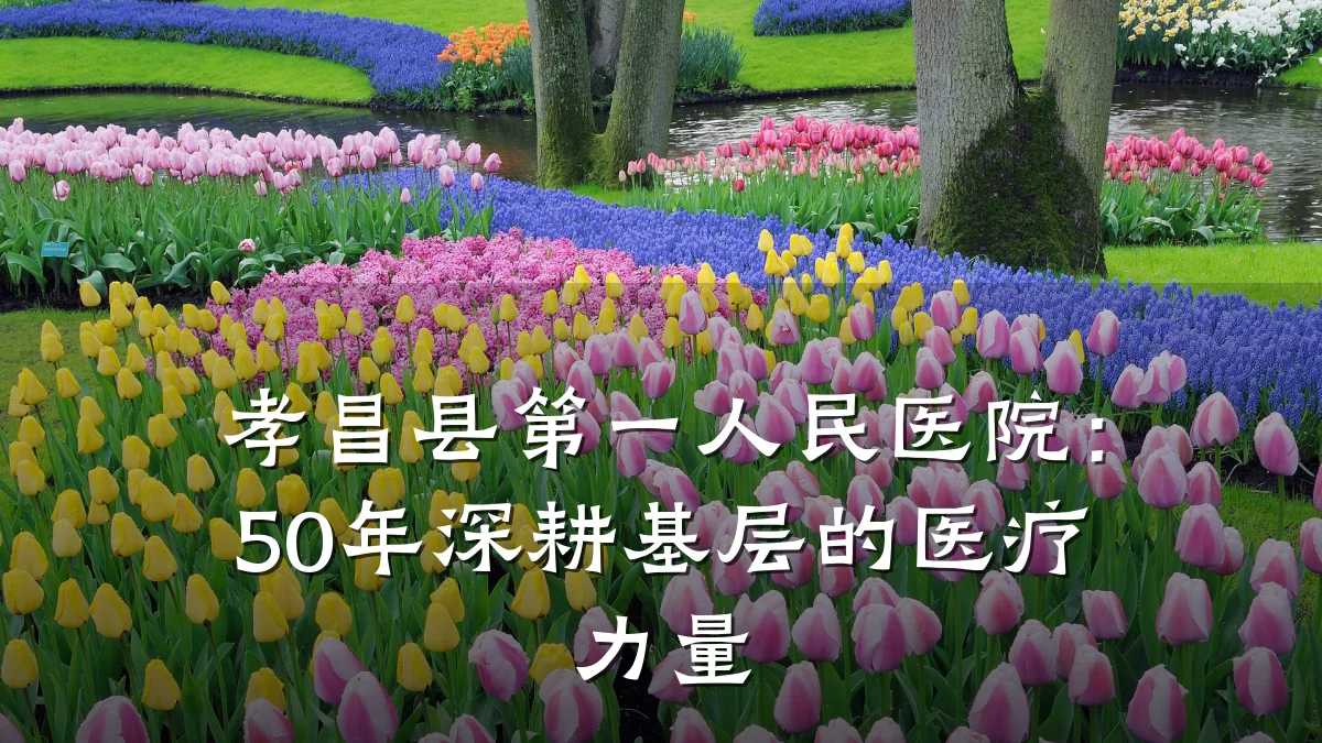 孝昌县第一人民医院:50年深耕基层的医疗力量