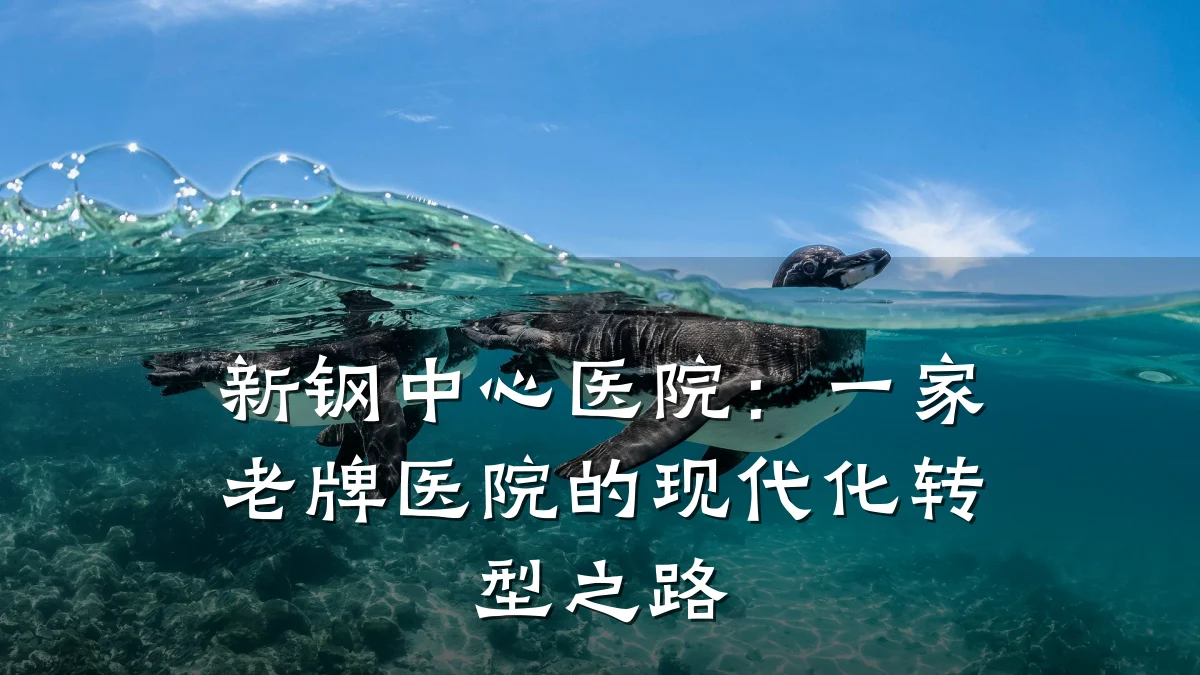 新钢中心医院:一家老牌医院的现代化转型之路