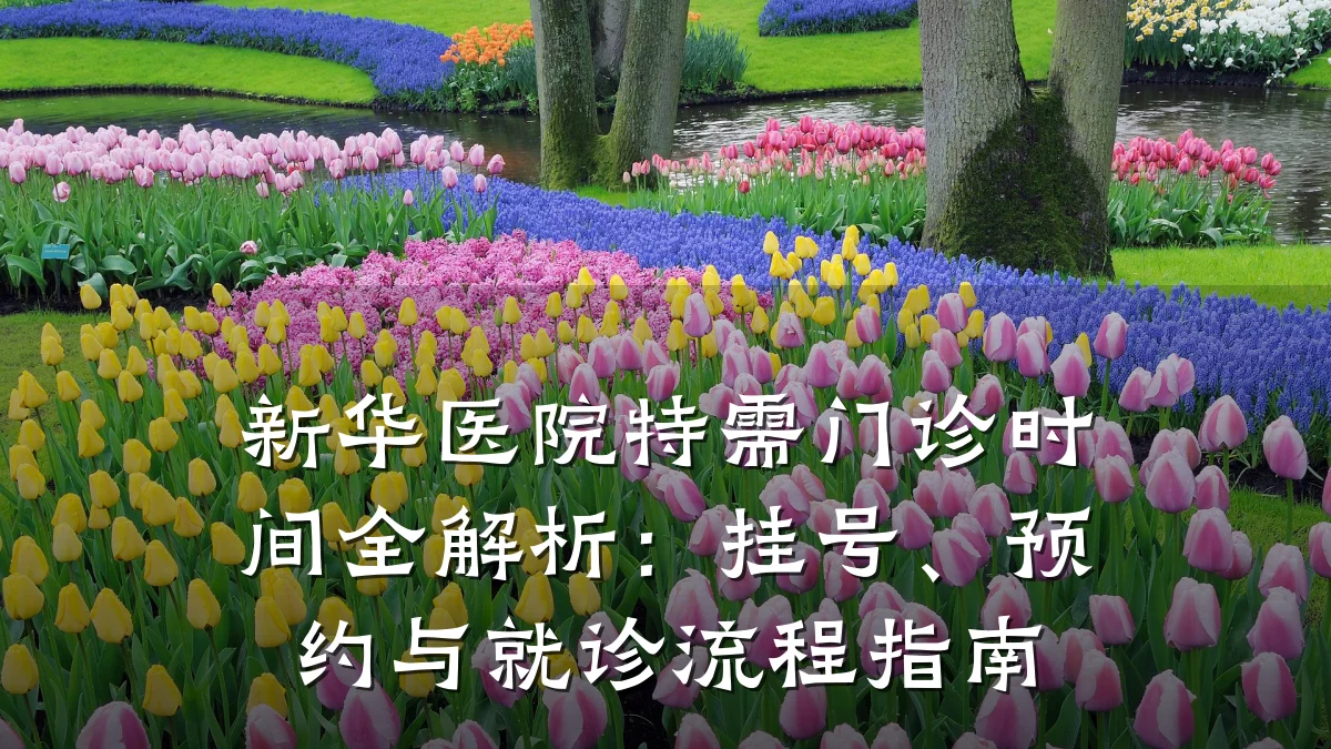 新华医院特需门诊时间全解析:挂号、预约与就诊流程指南