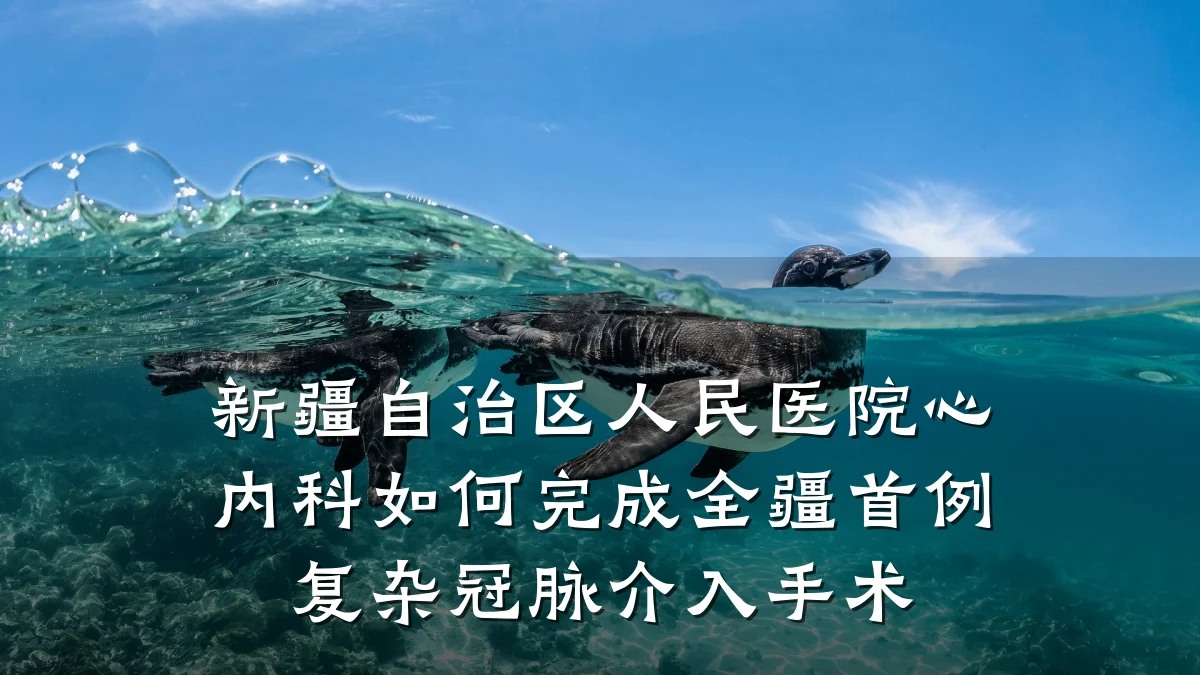 新疆自治区人民医院心内科如何完成全疆首例复杂冠脉介入手术
