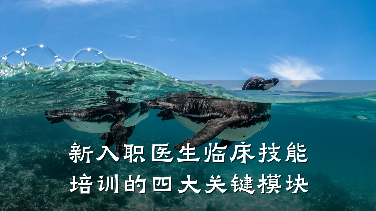 新入职医生临床技能培训的四大关键模块