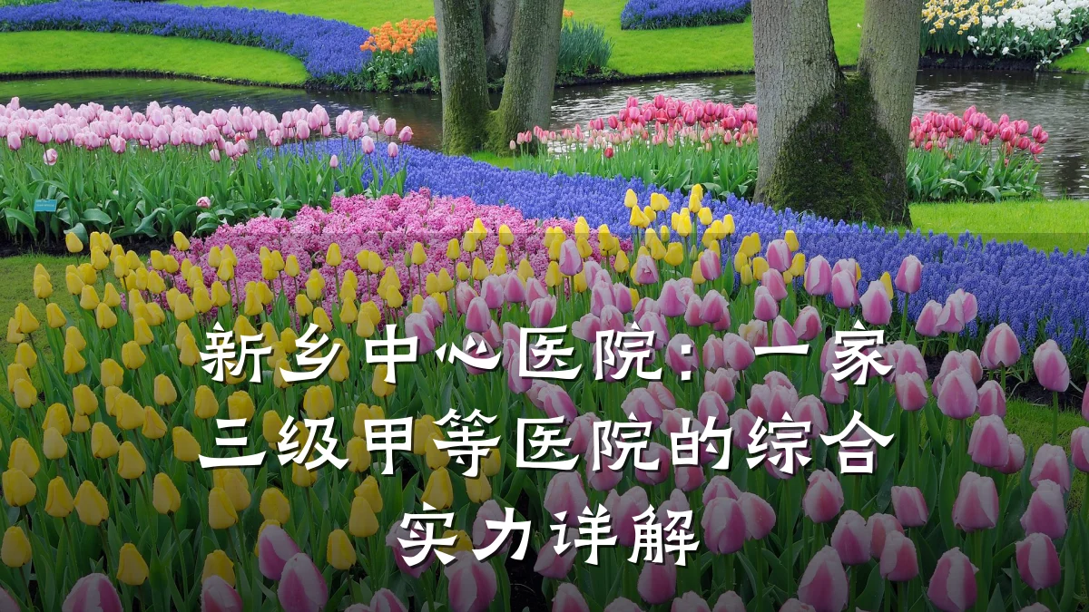 新乡中心医院:一家三级甲等医院的综合实力详解
