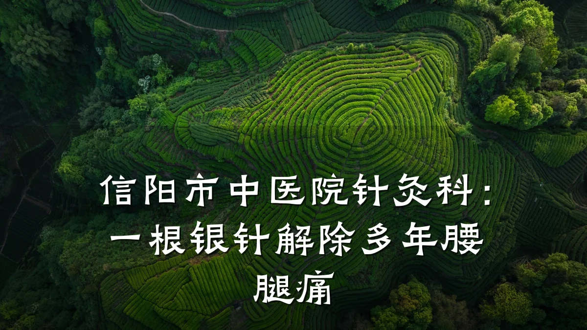 信阳市中医院针灸科:一根银针解除多年腰腿痛