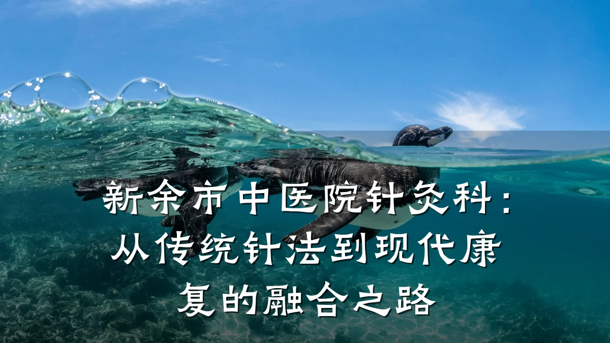 新余市中医院针灸科:从传统针法到现代康复的融合之路