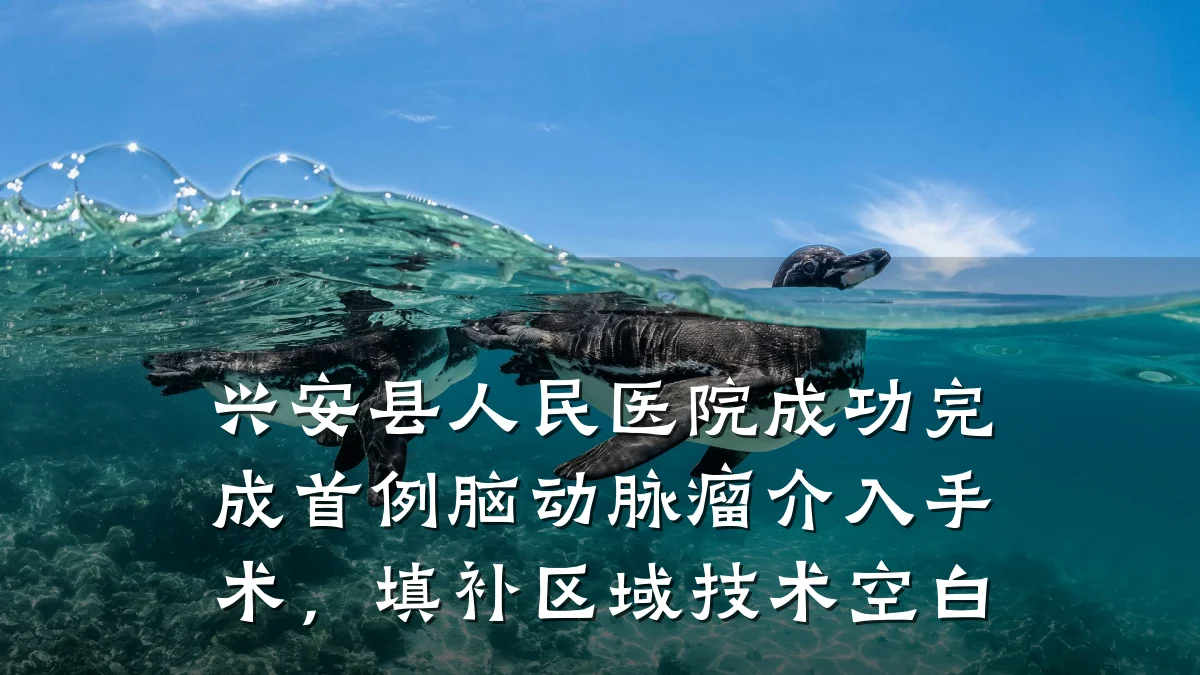 兴安县人民医院成功完成首例脑动脉瘤介入手术,填补区域技术空白