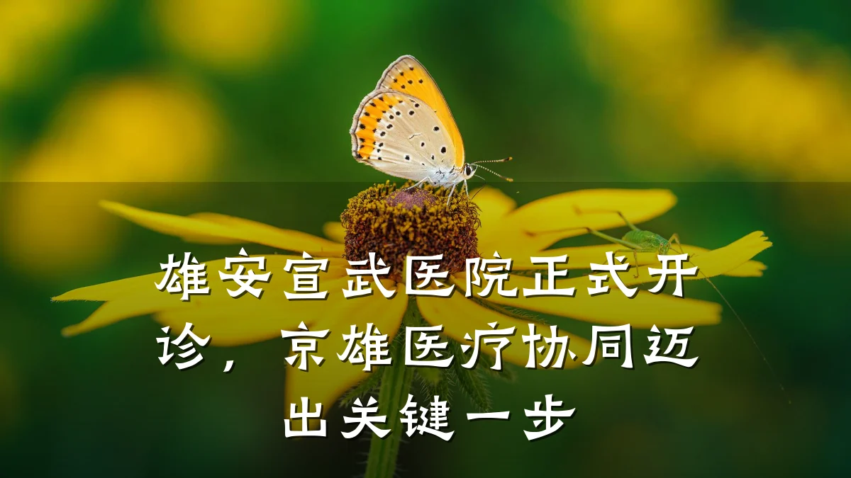 雄安宣武医院正式开诊,京雄医疗协同迈出关键一步