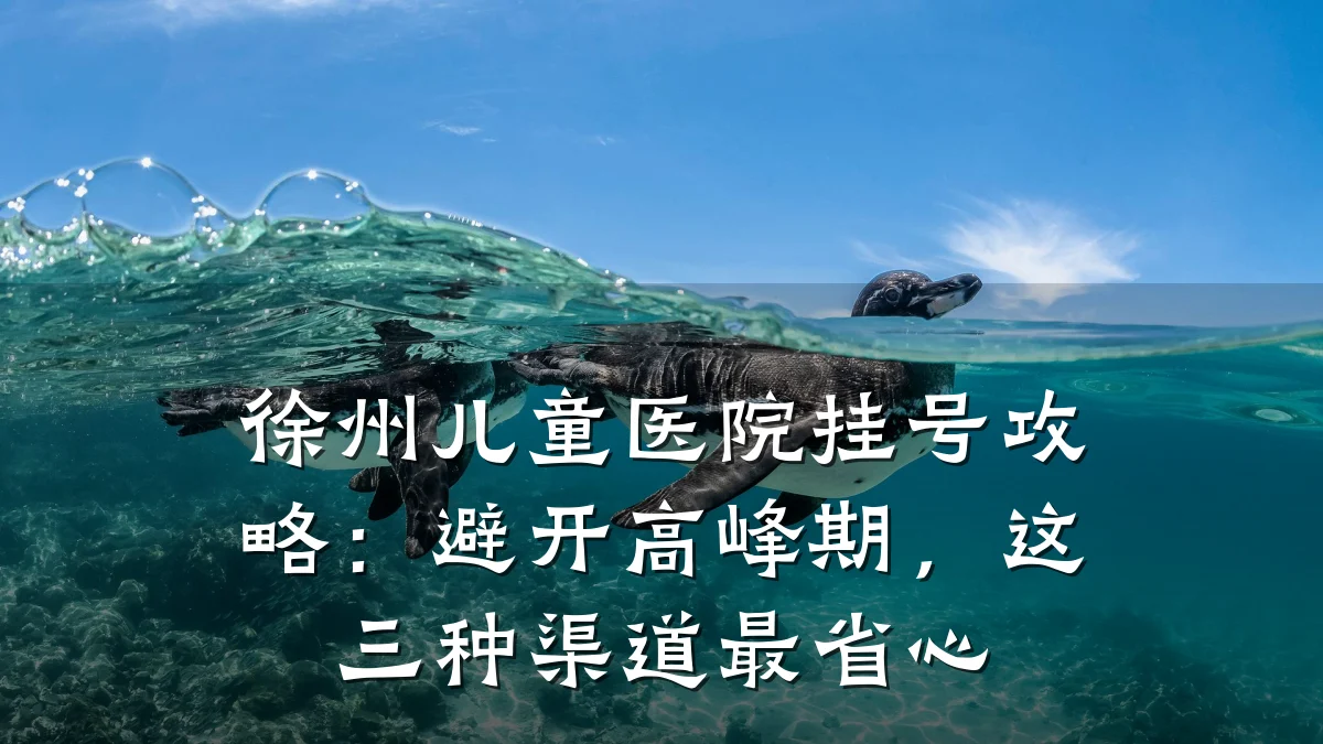 徐州儿童医院挂号攻略：避开高峰期，这三种渠道最省心