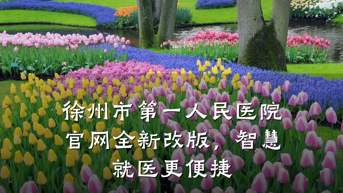 徐州市第一人民医院官网全新改版，智慧就医更便捷