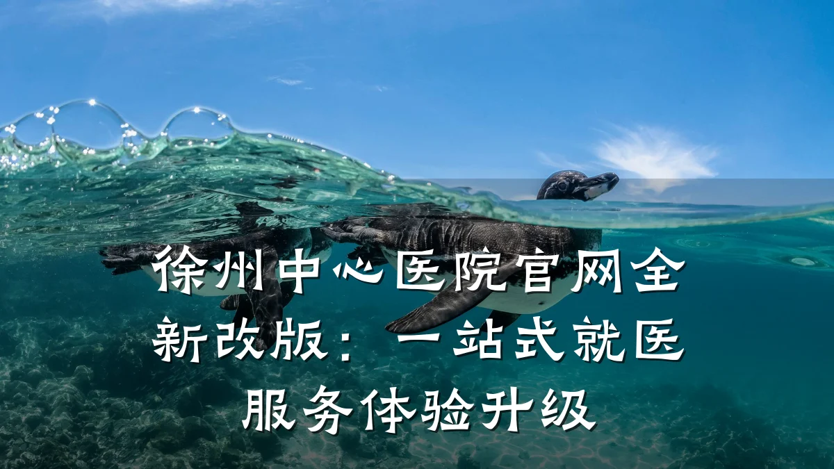 徐州中心医院官网全新改版：一站式就医服务体验升级