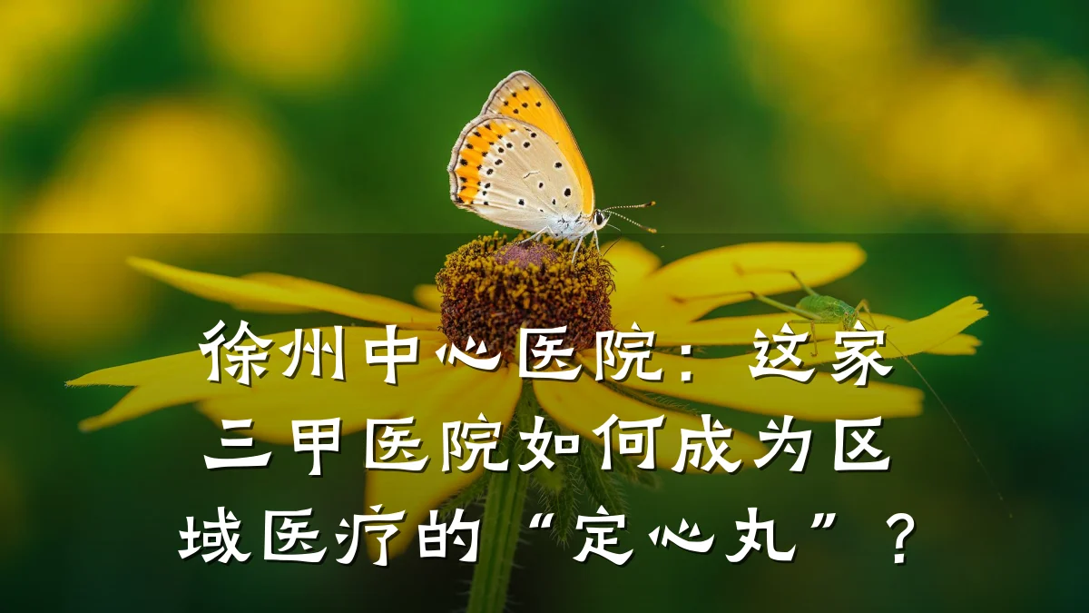 徐州中心医院:这家三甲医院如何成为区域医疗的“定心丸”?