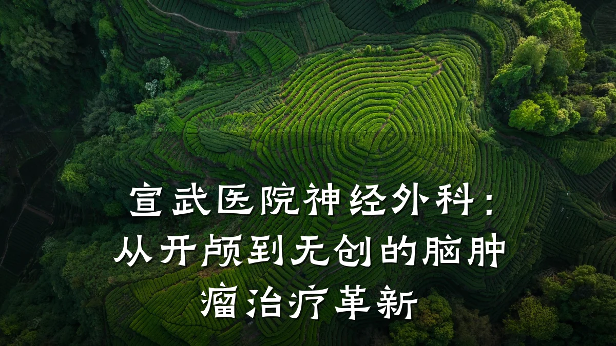 宣武医院神经外科:从开颅到无创的脑肿瘤治疗革新