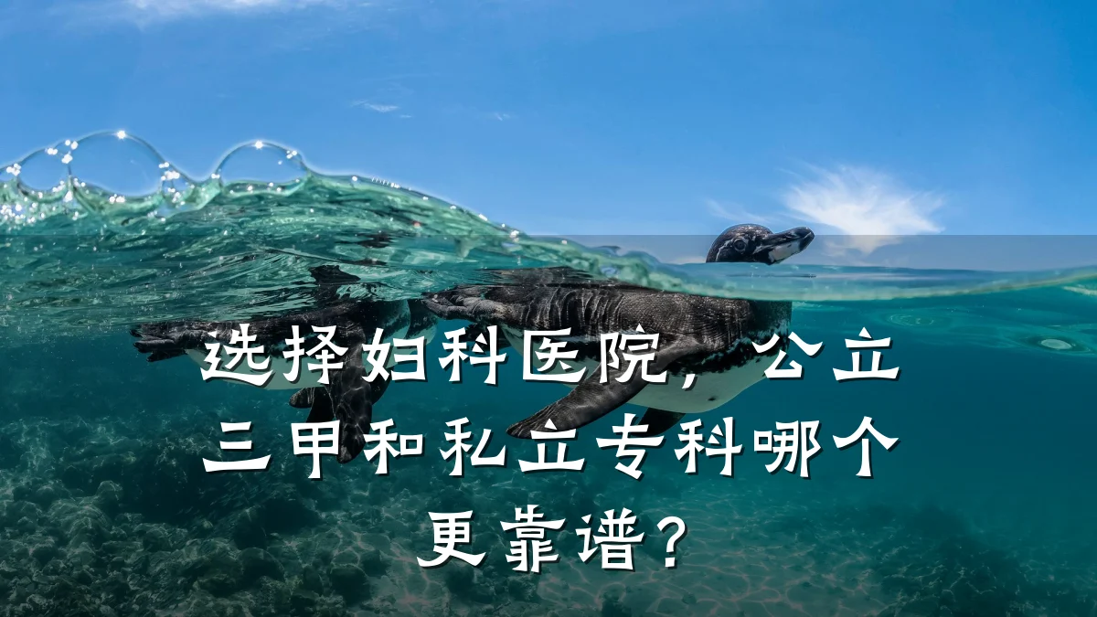选择妇科医院，公立三甲和私立专科哪个更靠谱？