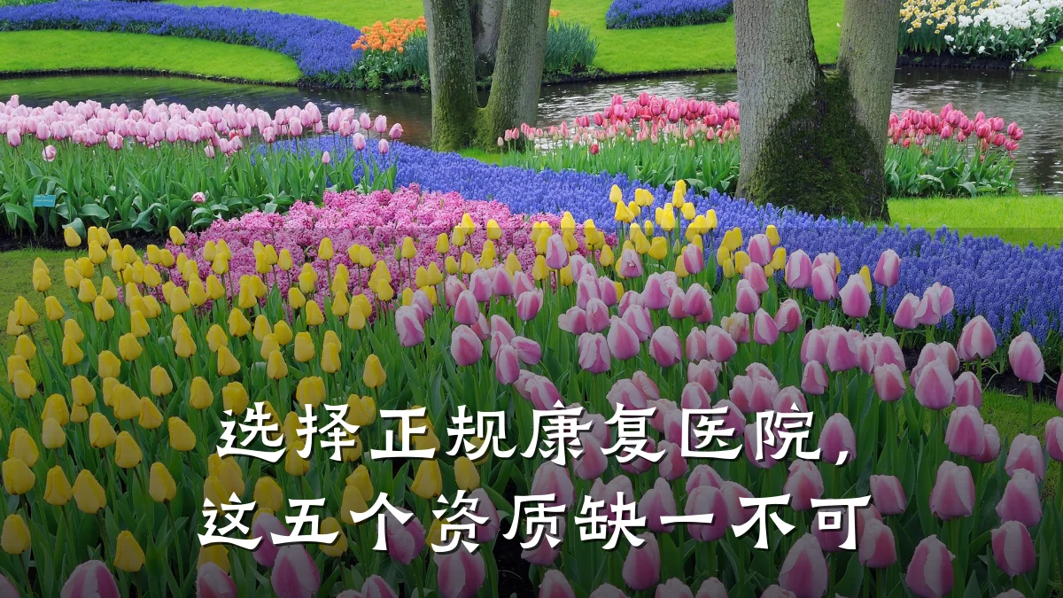 选择正规康复医院，这五个资质缺一不可
