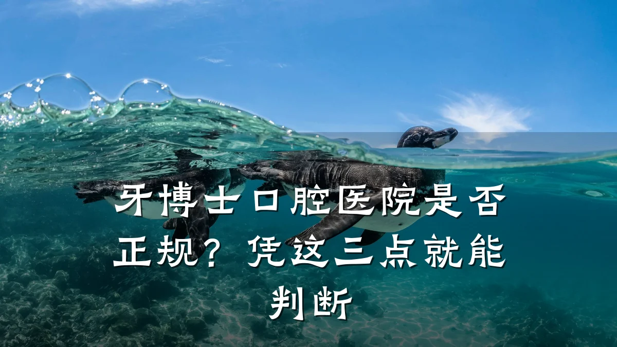 牙博士口腔医院是否正规?凭这三点就能判断