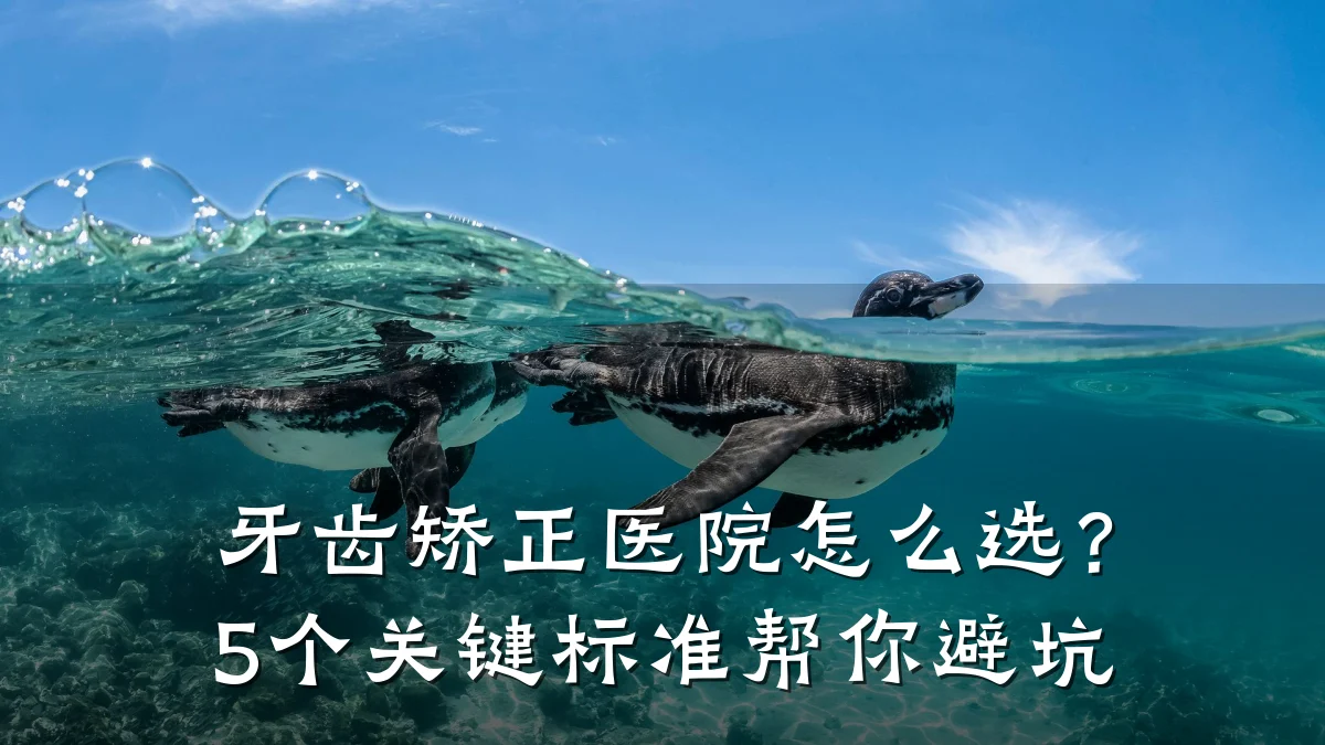 牙齿矫正医院怎么选?5个关键标准帮你避坑