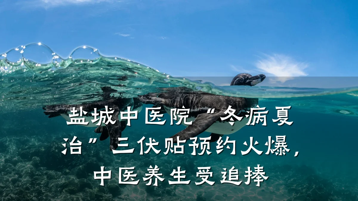 盐城中医院“冬病夏治”三伏贴预约火爆,中医养生受追捧