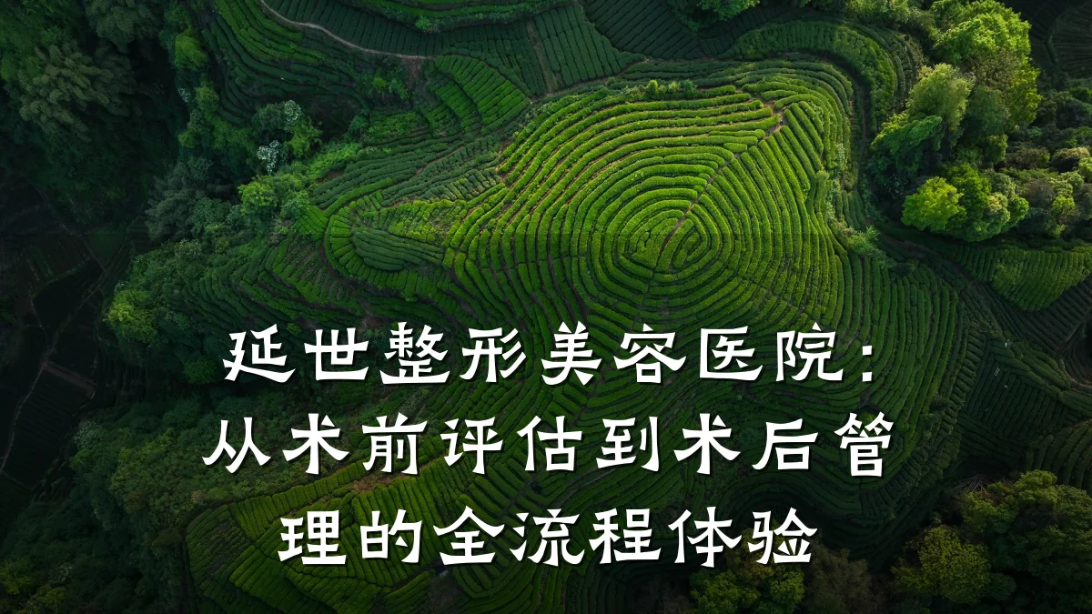 延世整形美容医院:从术前评估到术后管理的全流程体验
