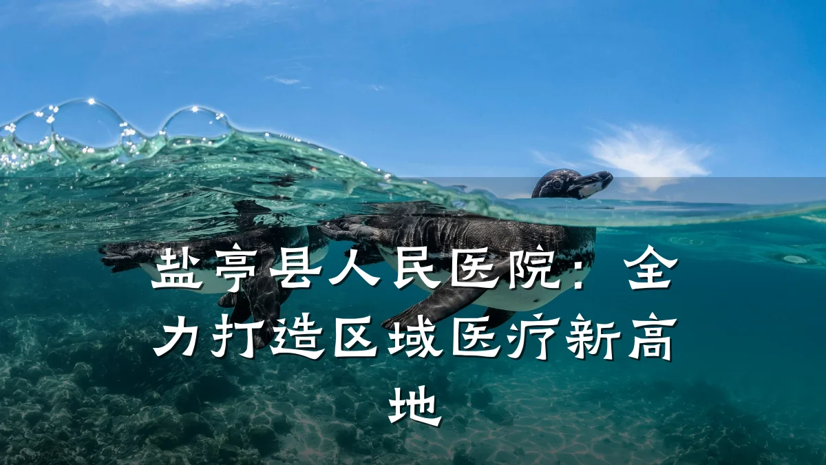 盐亭县人民医院：全力打造区域医疗新高地