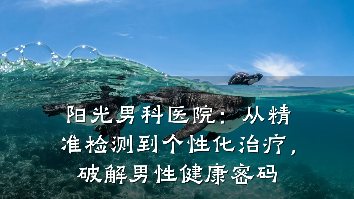 阳光男科医院:从精准检测到个性化治疗,破解男性健康密码