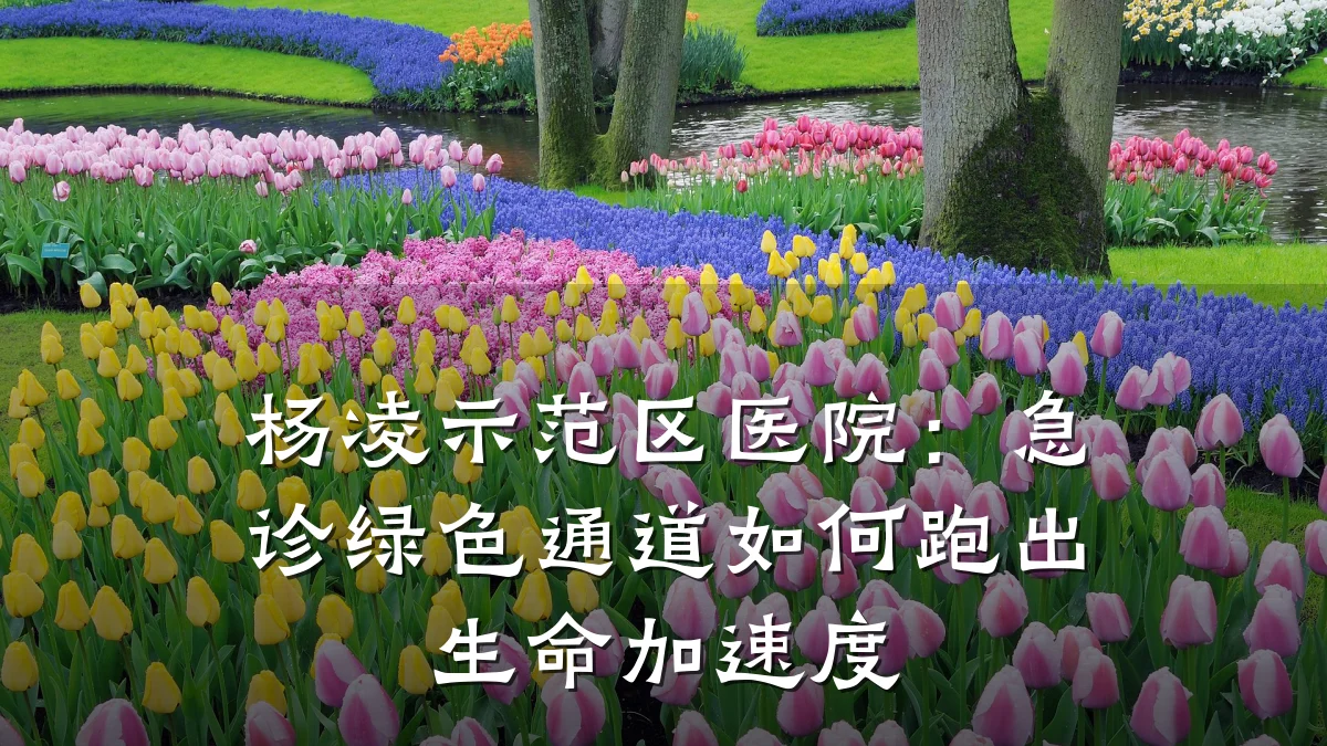 杨凌示范区医院:急诊绿色通道如何跑出生命加速度