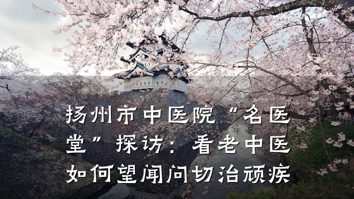 扬州市中医院“名医堂”探访:看老中医如何望闻问切治顽疾