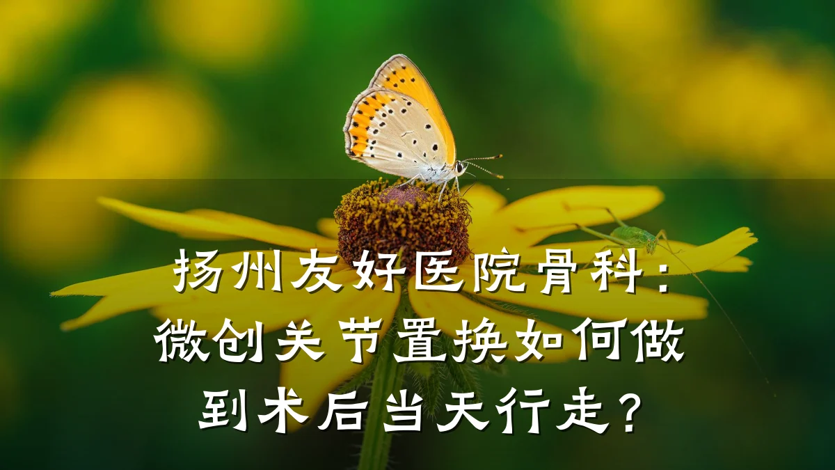 扬州友好医院骨科:微创关节置换如何做到术后当天行走?